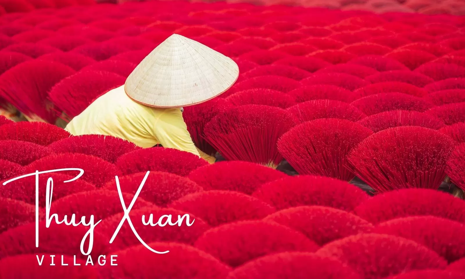 Thuy Xuan incense village: A colorful craft site in Hue
