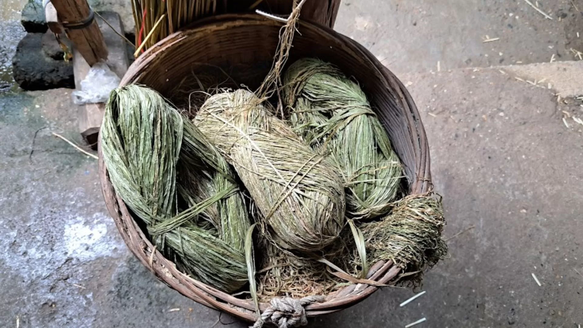 Lin pour le tissage