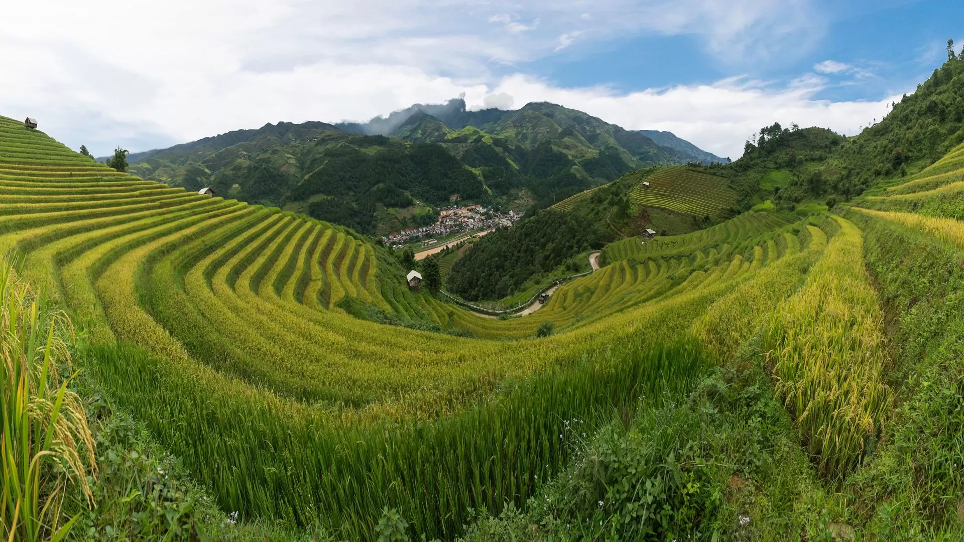 Rizières en terrasses de Mu Cang Chai