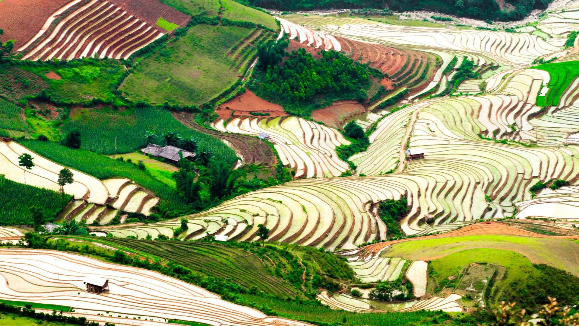Mu Cang Chai dans la saison des eaux