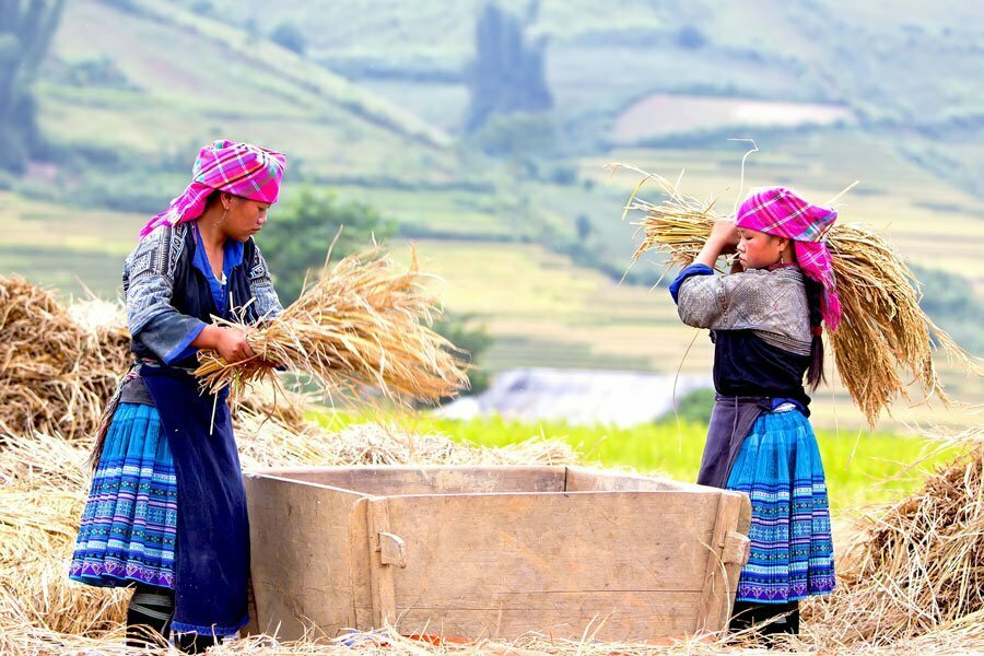 Ethnic Minority in Mu Cang Chai