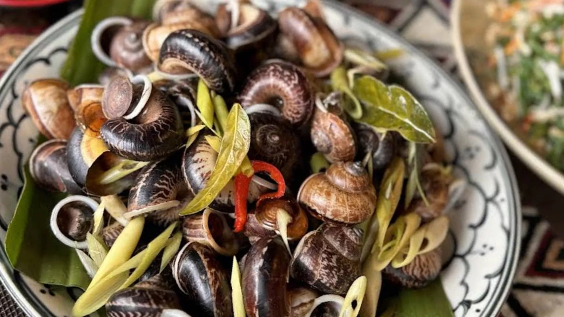Escargots de roche