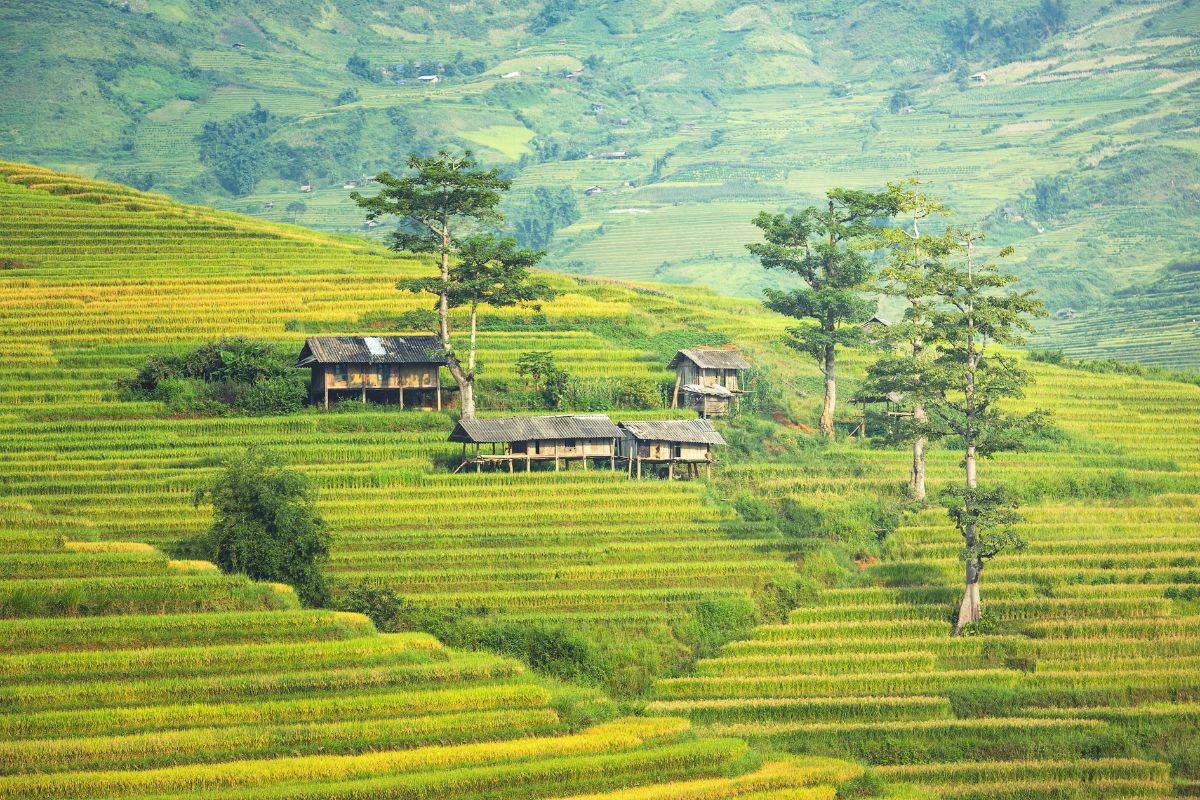 Splendeurs Vietnam - Laos 12 jours