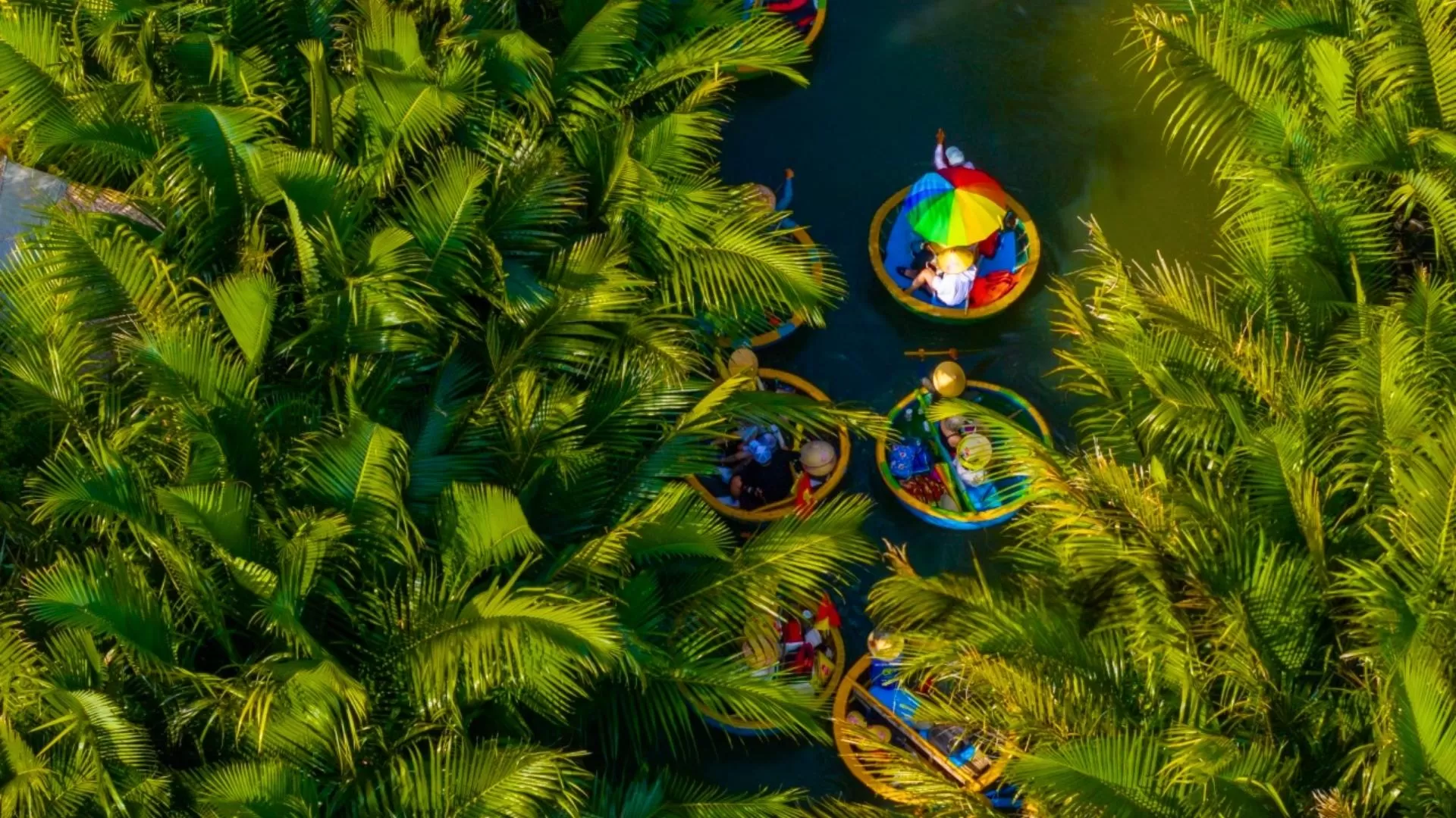 Hoi An Coconut Forest