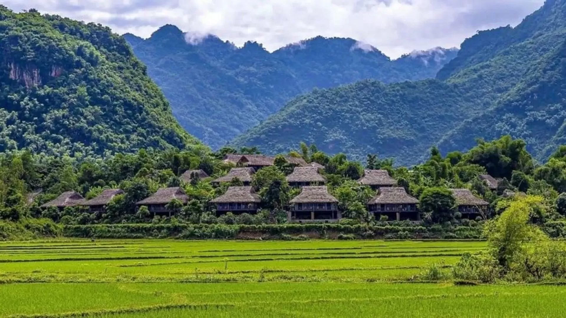 Best time to visit Mai Chau