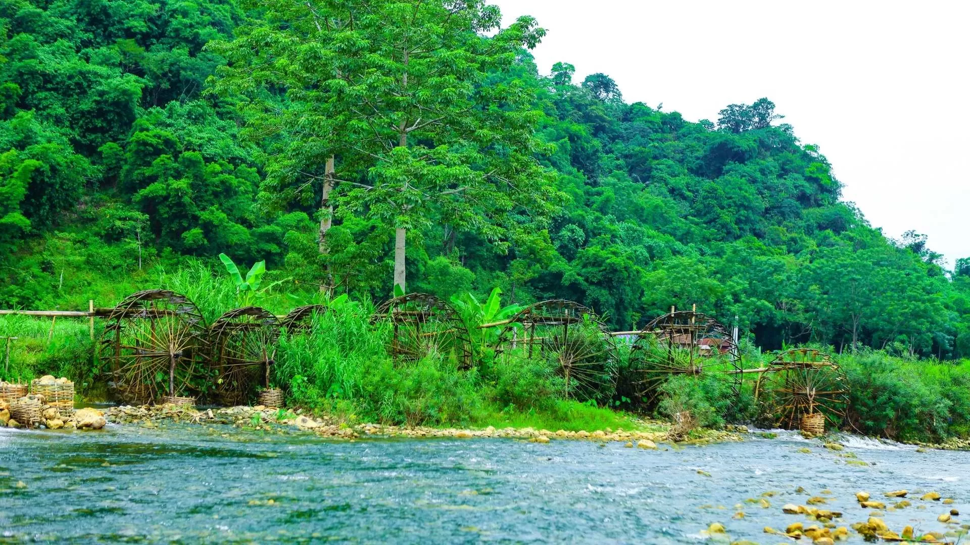 Cham stream