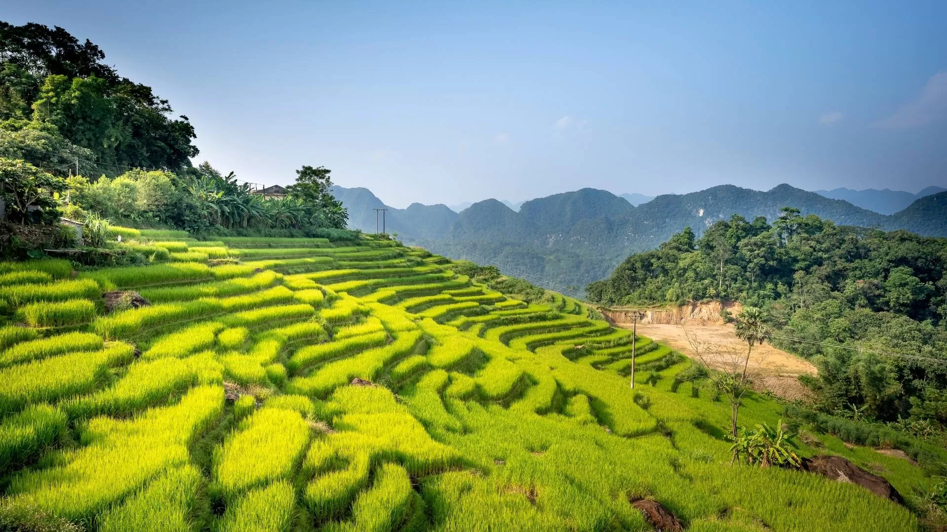 The beauty of Pu Luong