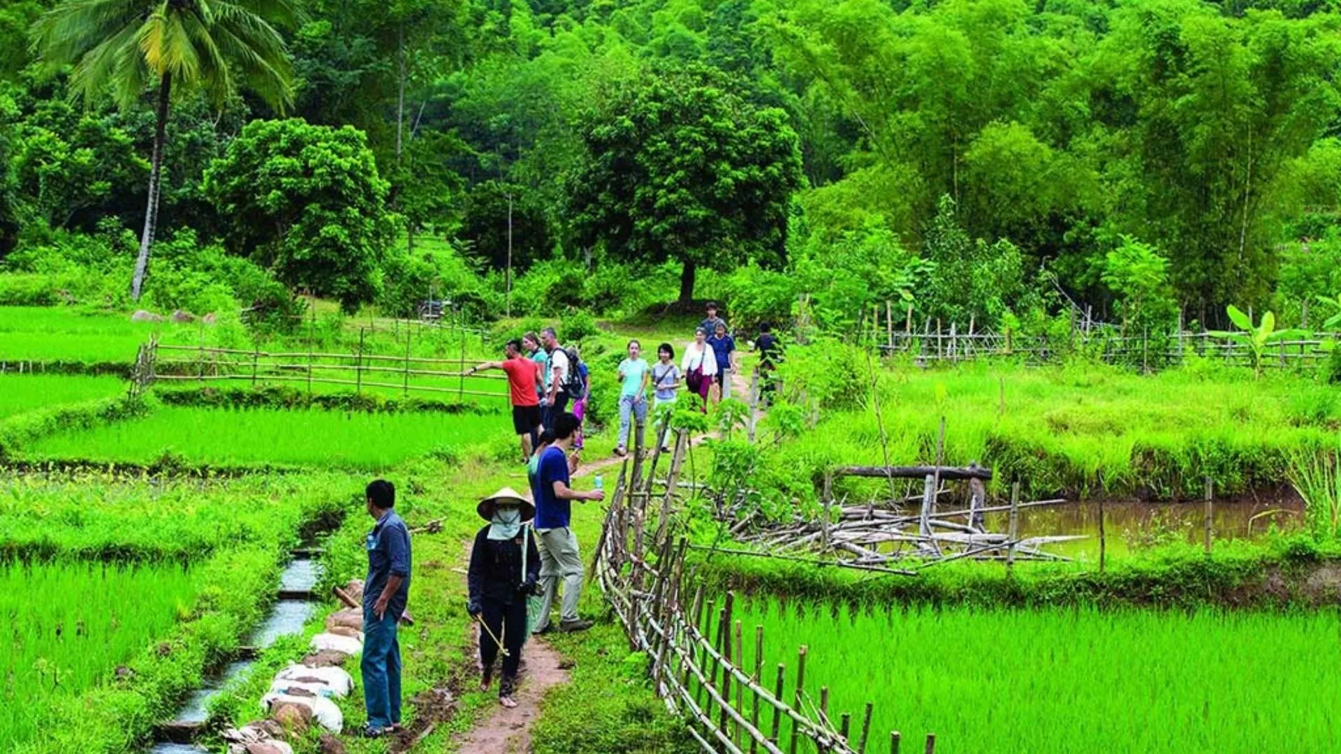 Traveler trekking through remote mountain trails in Pu Luong, surrounded by nature.