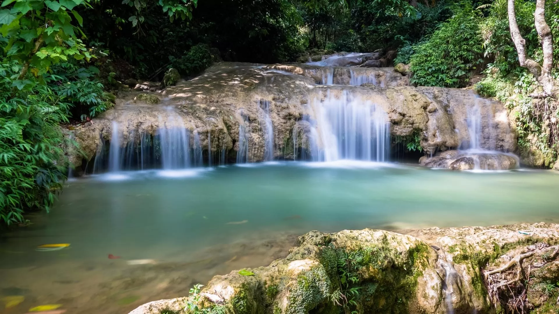 Clear waterfall cascading over rocks in the lush jungle of Pu Luong.