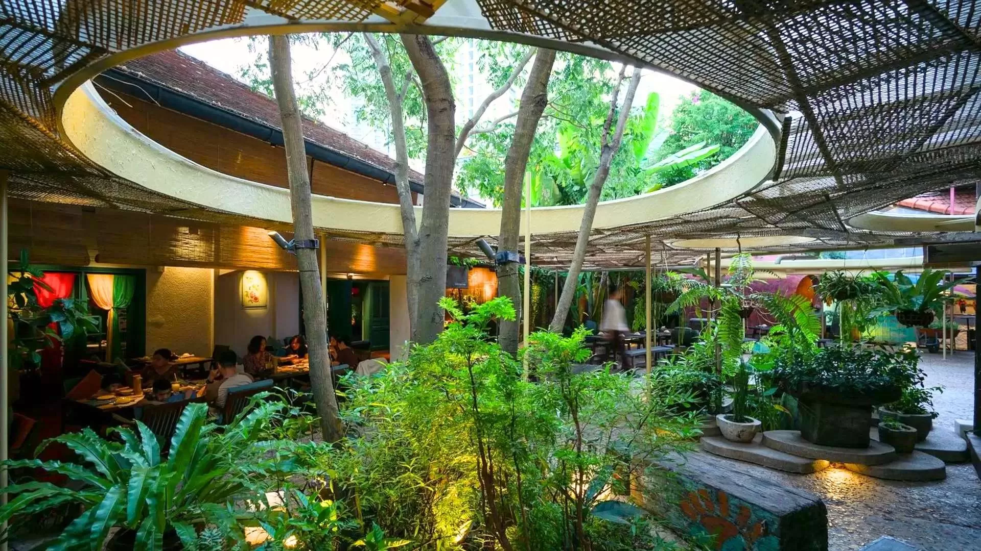 Hum Garden - Healthy Veggies Delights
