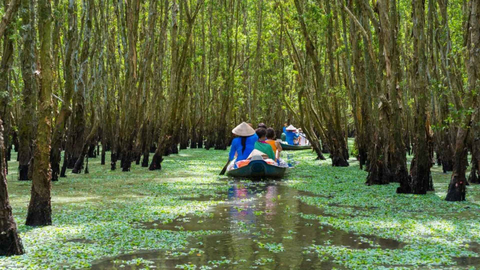 Mekong Delta