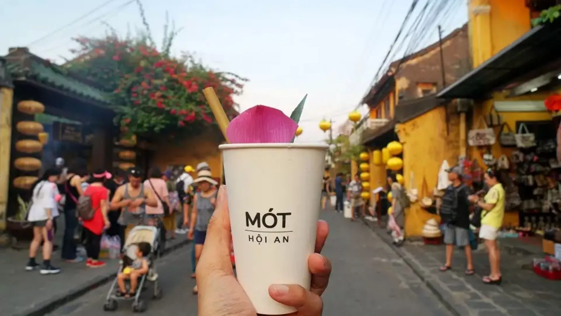 Mot Herbal Tea