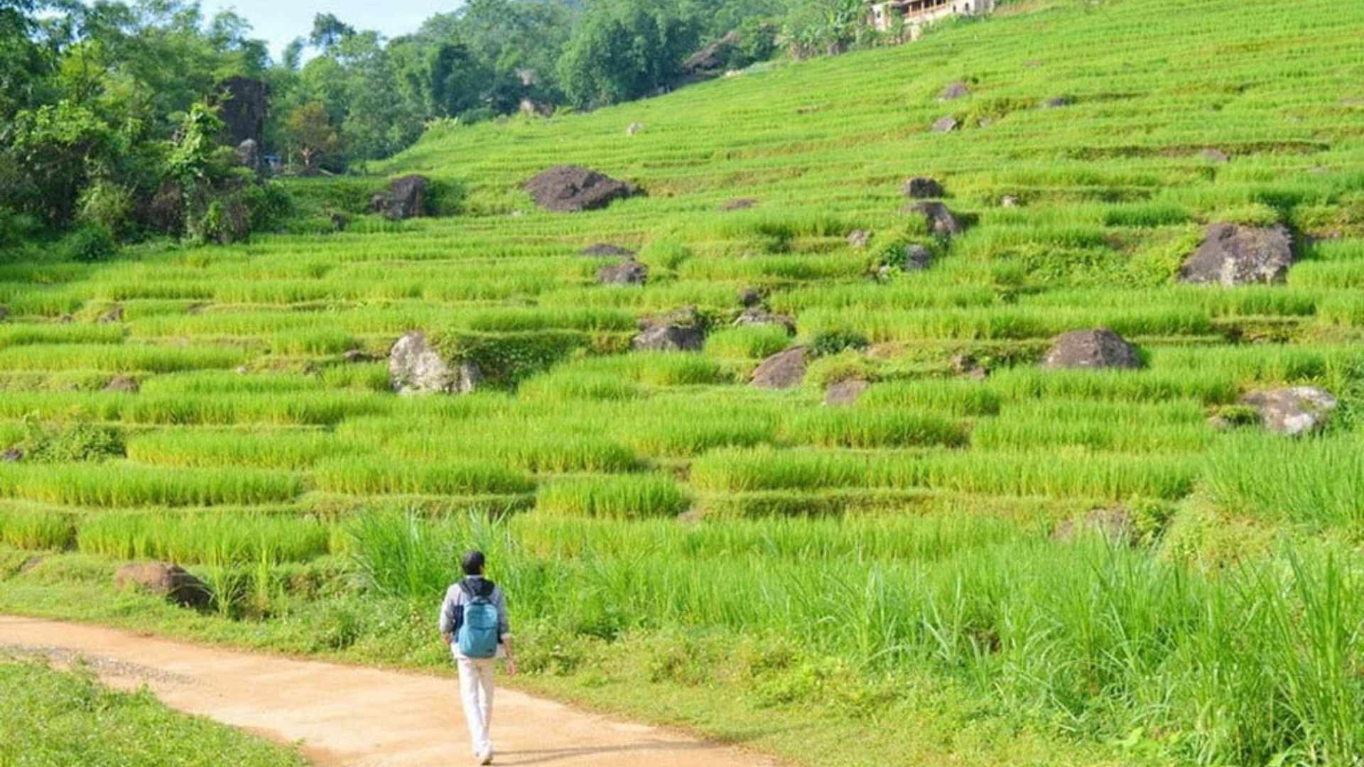 Mai Chau