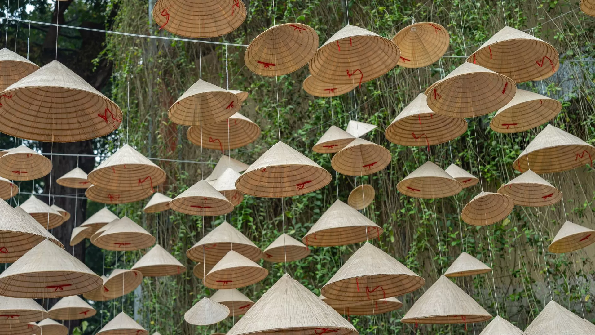 Chapeaux coniques