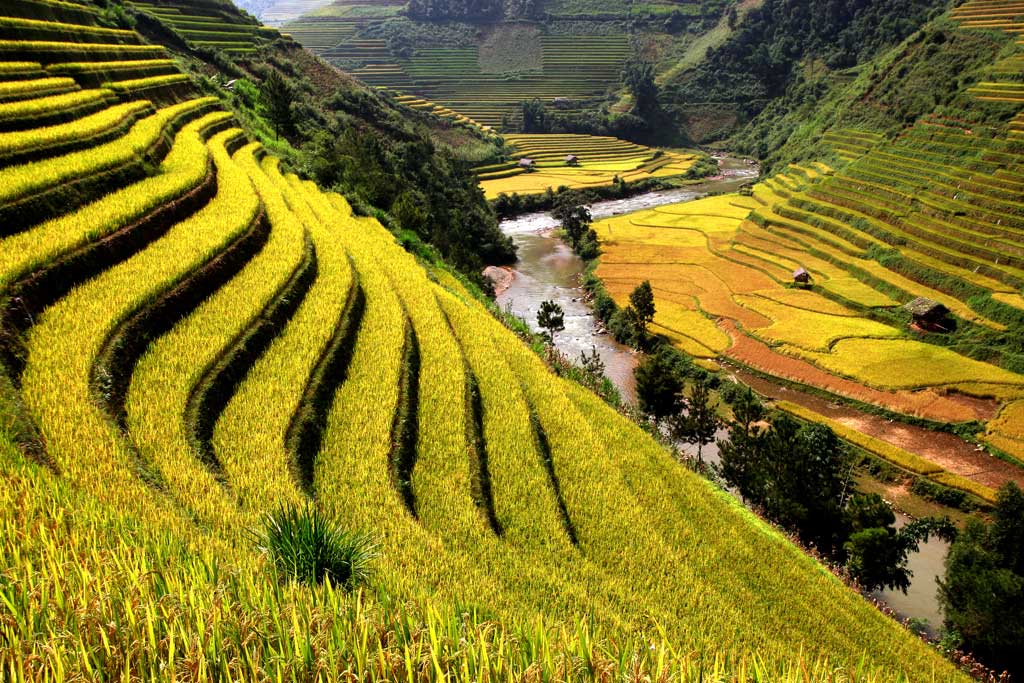 Vietnam tour 15 days with Sapa