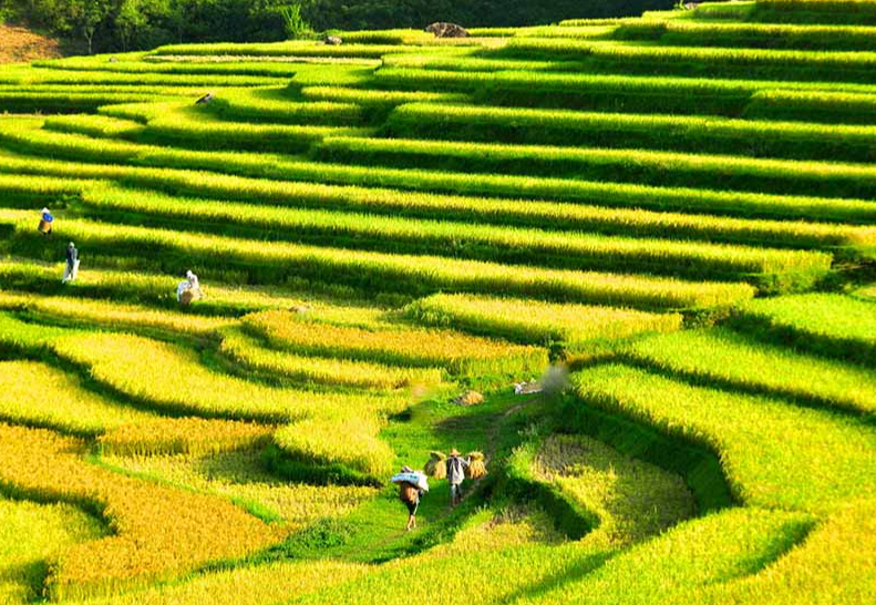 Vietnam tour 15 days with Pu Luong